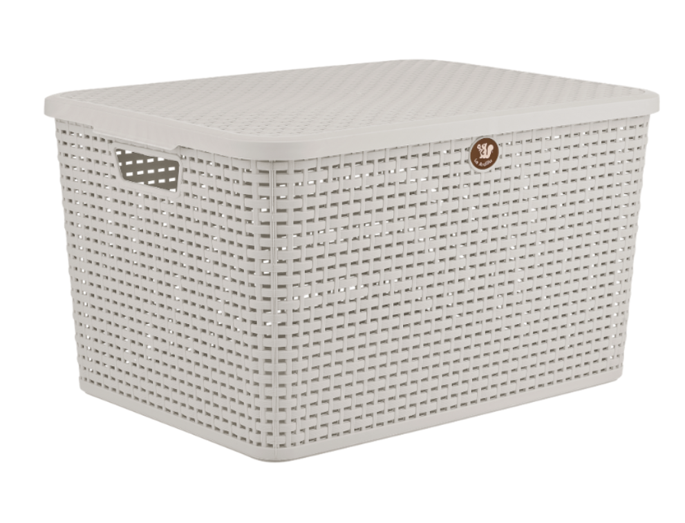 Caja Rattan con tapa