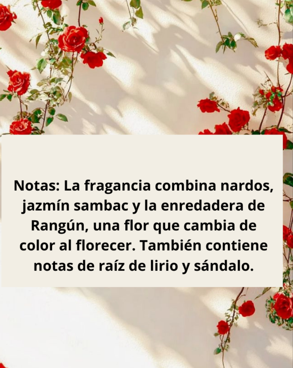 Gucci Bloom Eau de Parfum 5ml